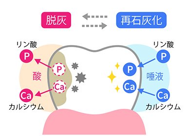 フッ素 イメージ2