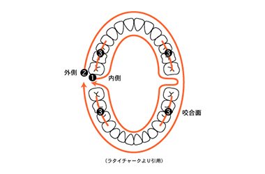 みがく順番 イメージ