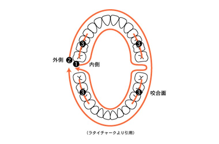 みがく順番 イメージ